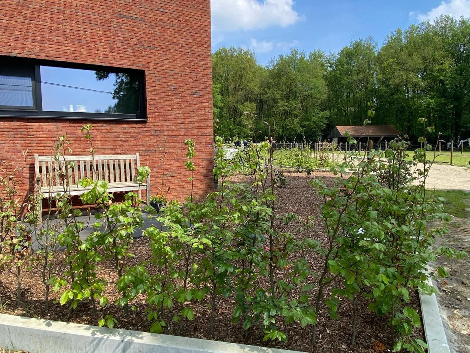 Natuur, rust en paardenweides